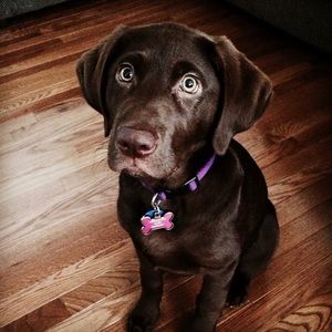 Meet your Posher, Kara